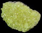 Sulfur Crystals on Matrix - Bolivia #51578-2